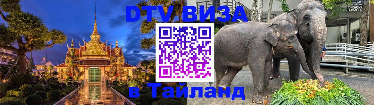 Сколько стоит DTV виза — актуальные цены, оформление даже без документов - 18.11.2025 